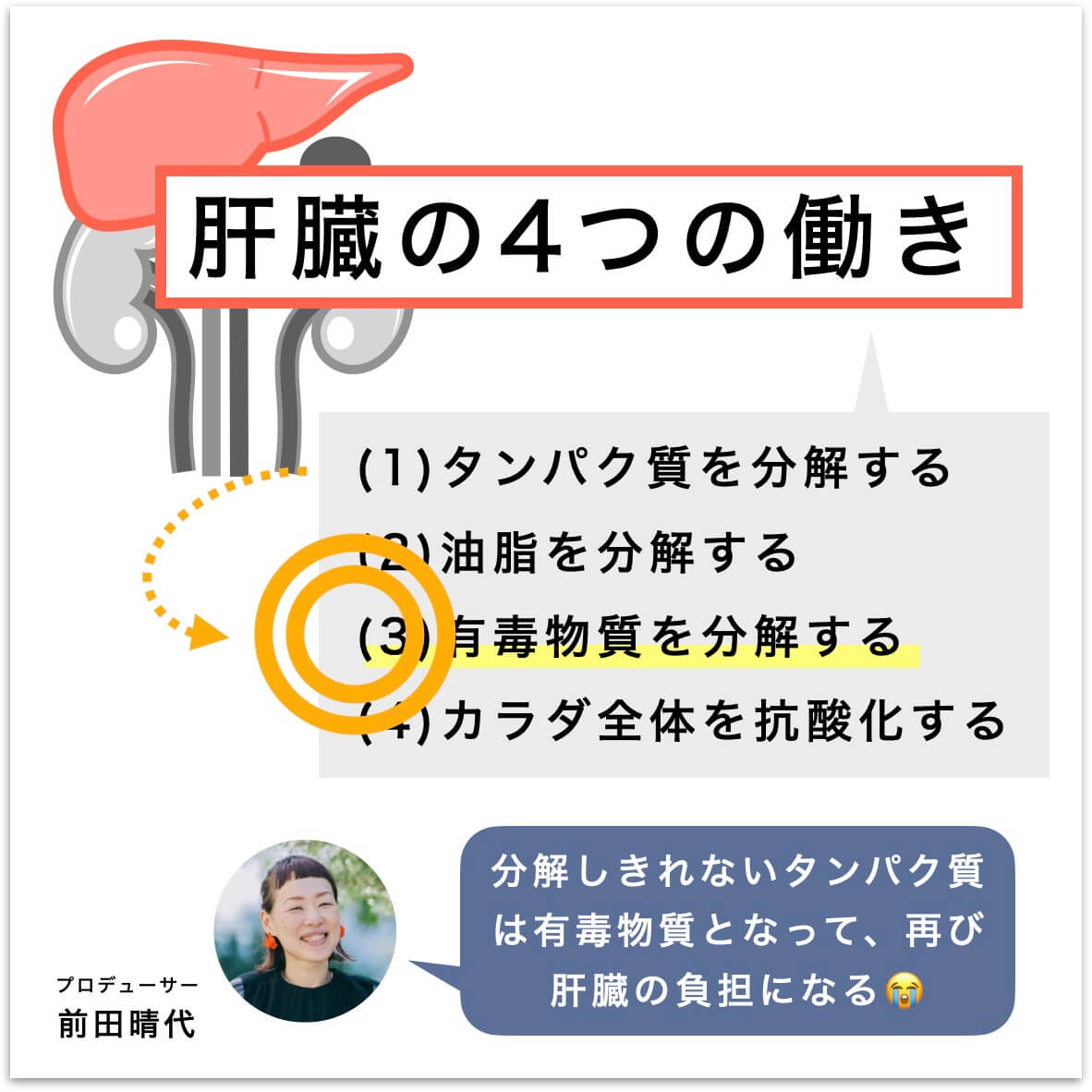 肝臓の働きを説明している図