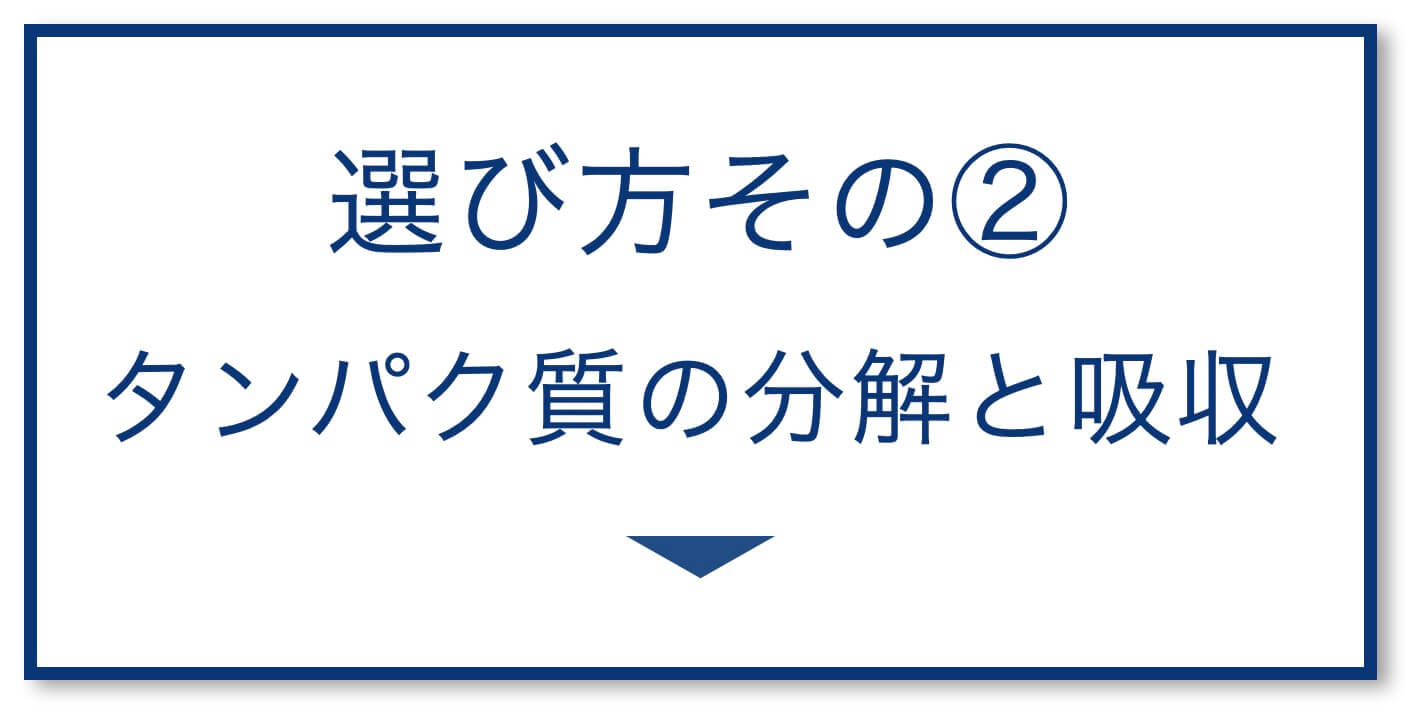 4選その2：タンパク質の分解と吸収