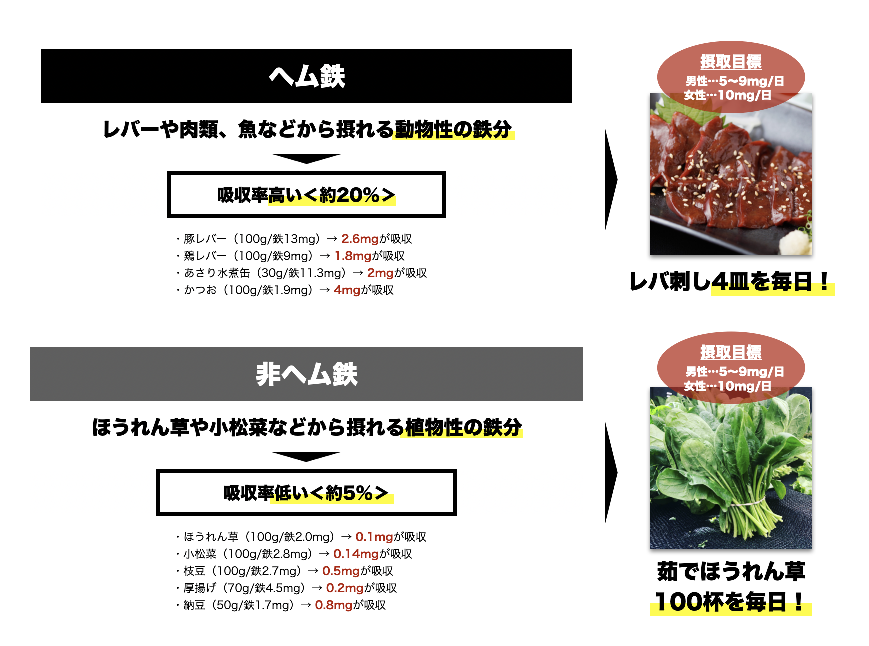 ヘム鉄と非ヘム鉄のちがいは急死守率の差