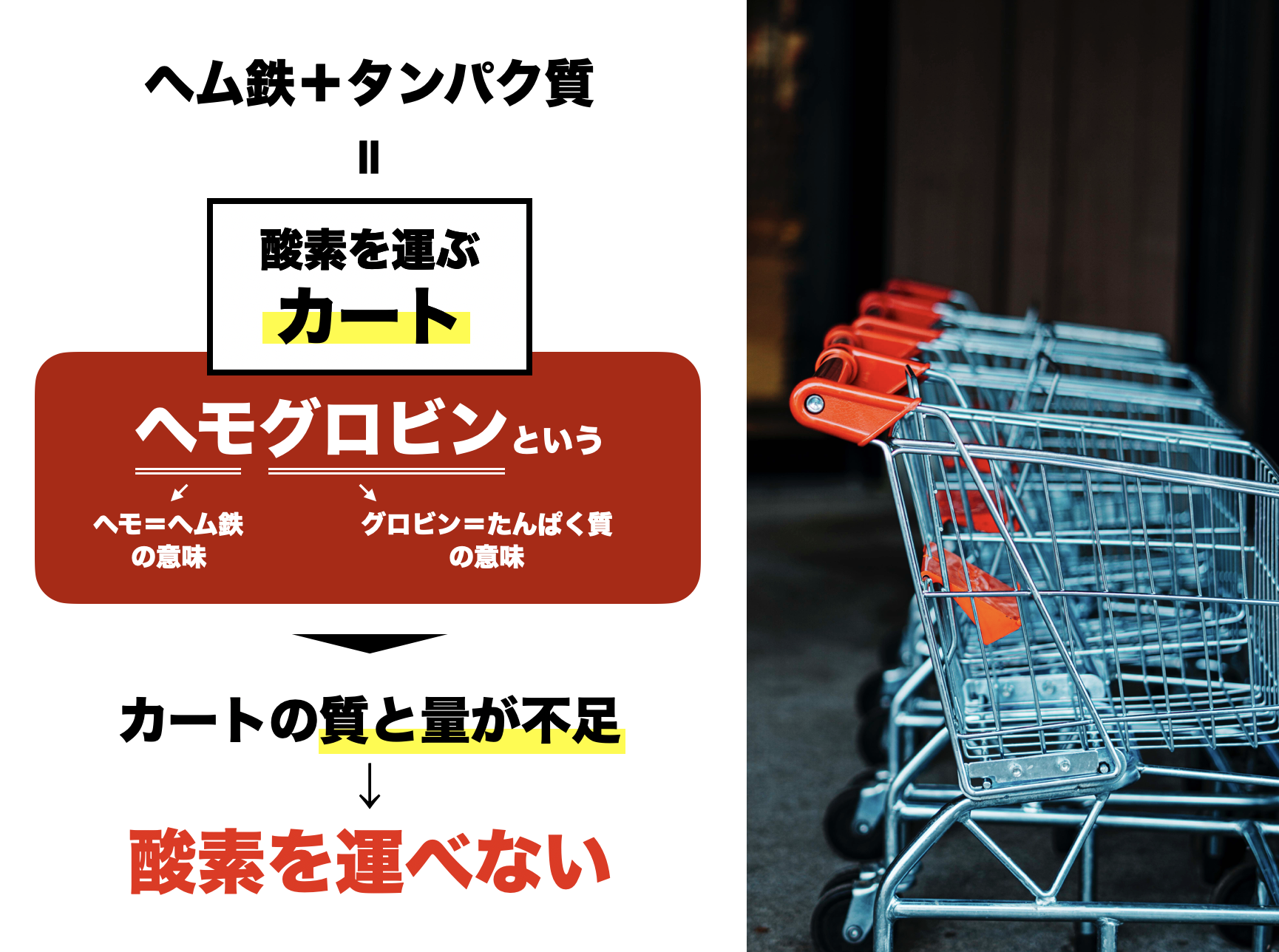 ヘモグロビンは身体中の細胞に酸素を届ける