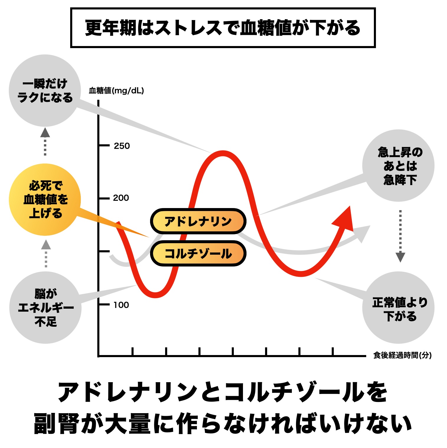 更年期になるとアドレナリンやコルチゾールの分泌が増やして血糖値を上げることの説明