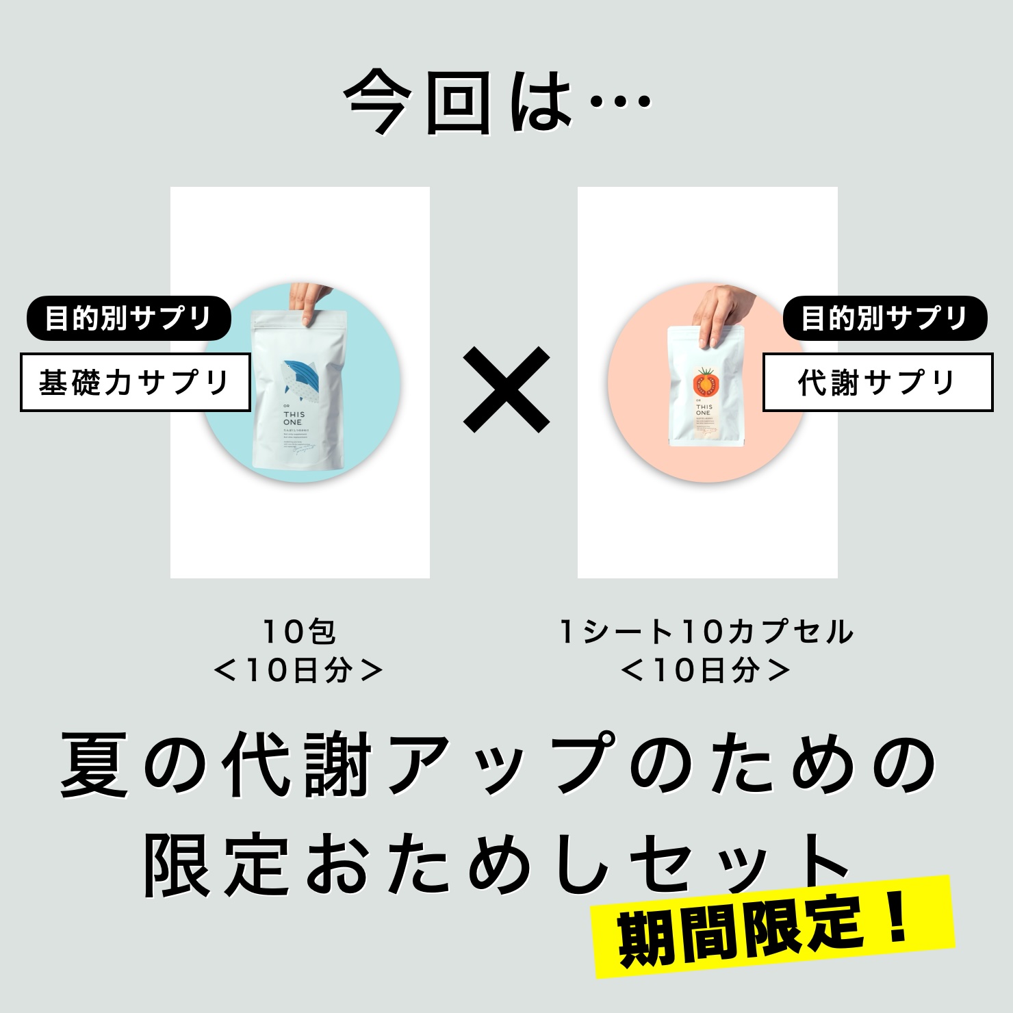 代謝をサポートする酵素とたんぱく質サプリ