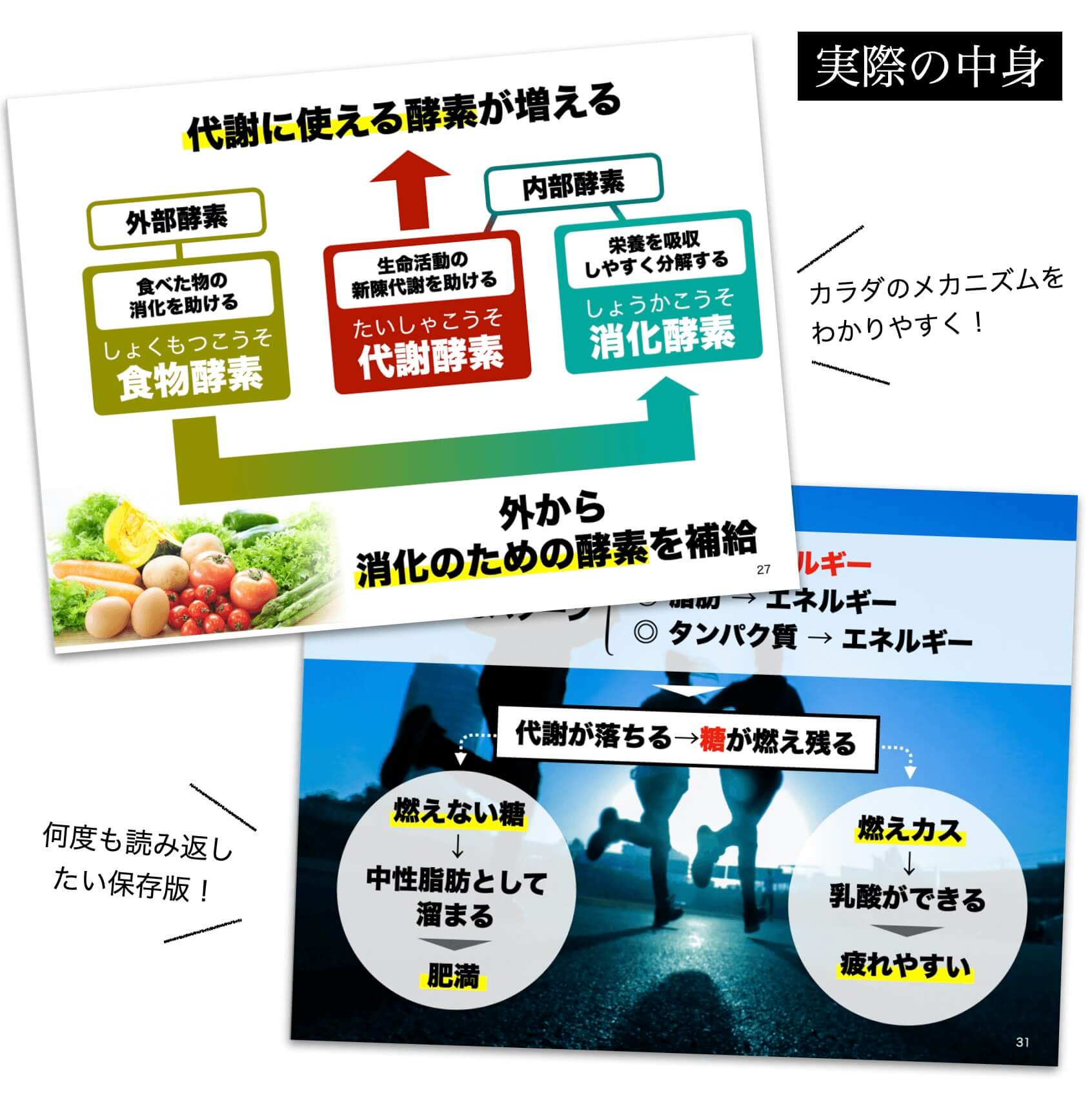 更年期太りを解決するために必要な代謝や消化のメカニズムをまとめた資料2