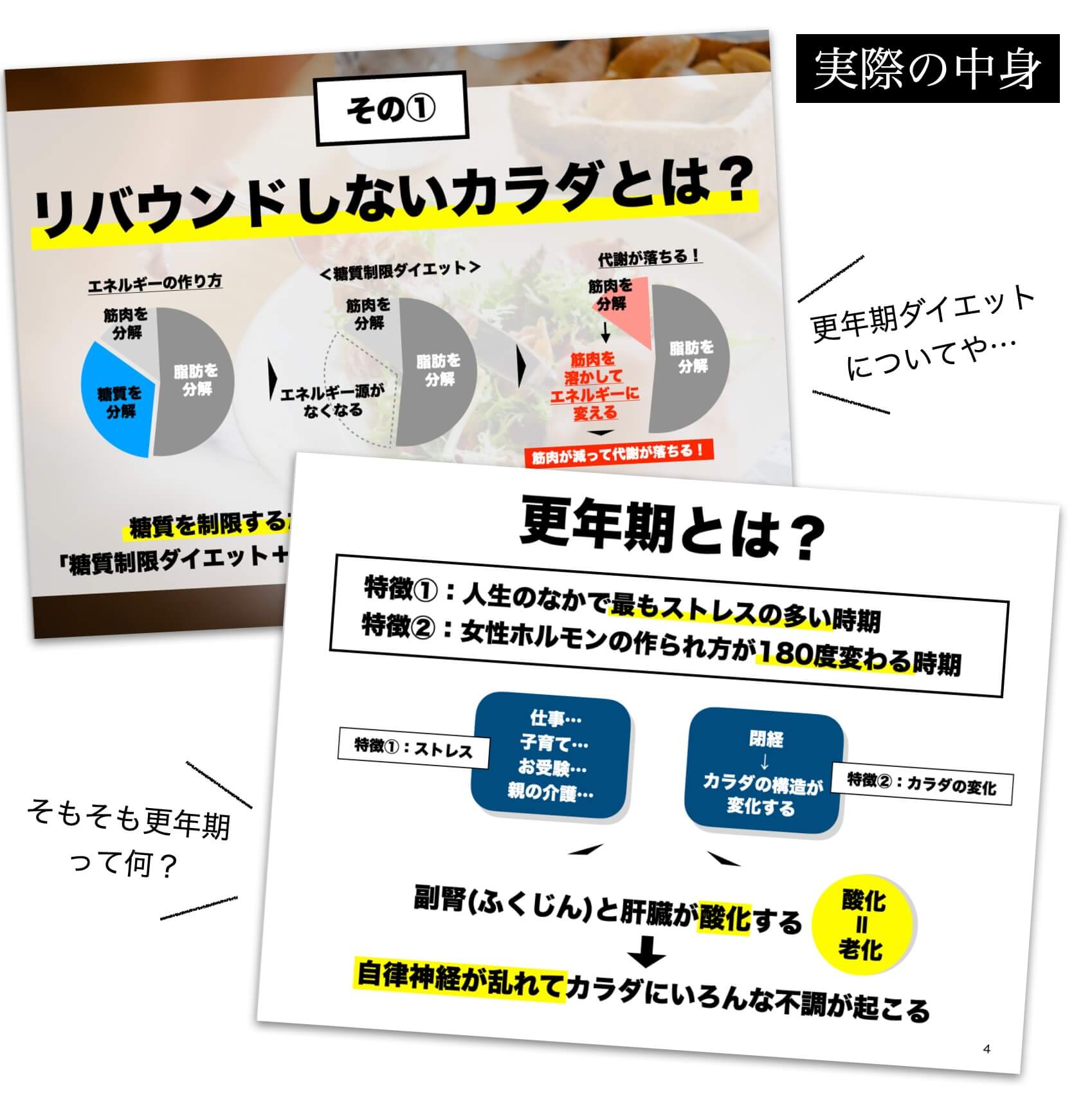 更年期太りを解決するために必要な代謝や消化のメカニズムをまとめた資料1