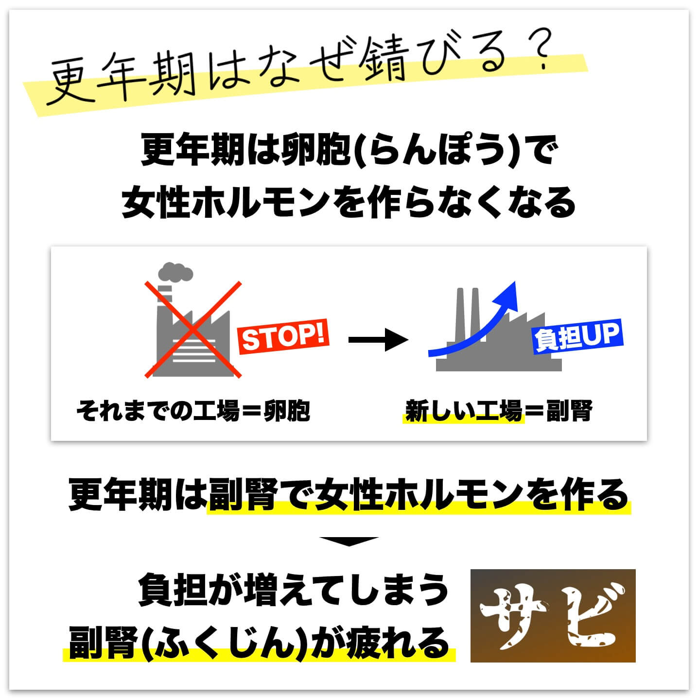 更年期は副腎で女性ホルモンを作るようになる