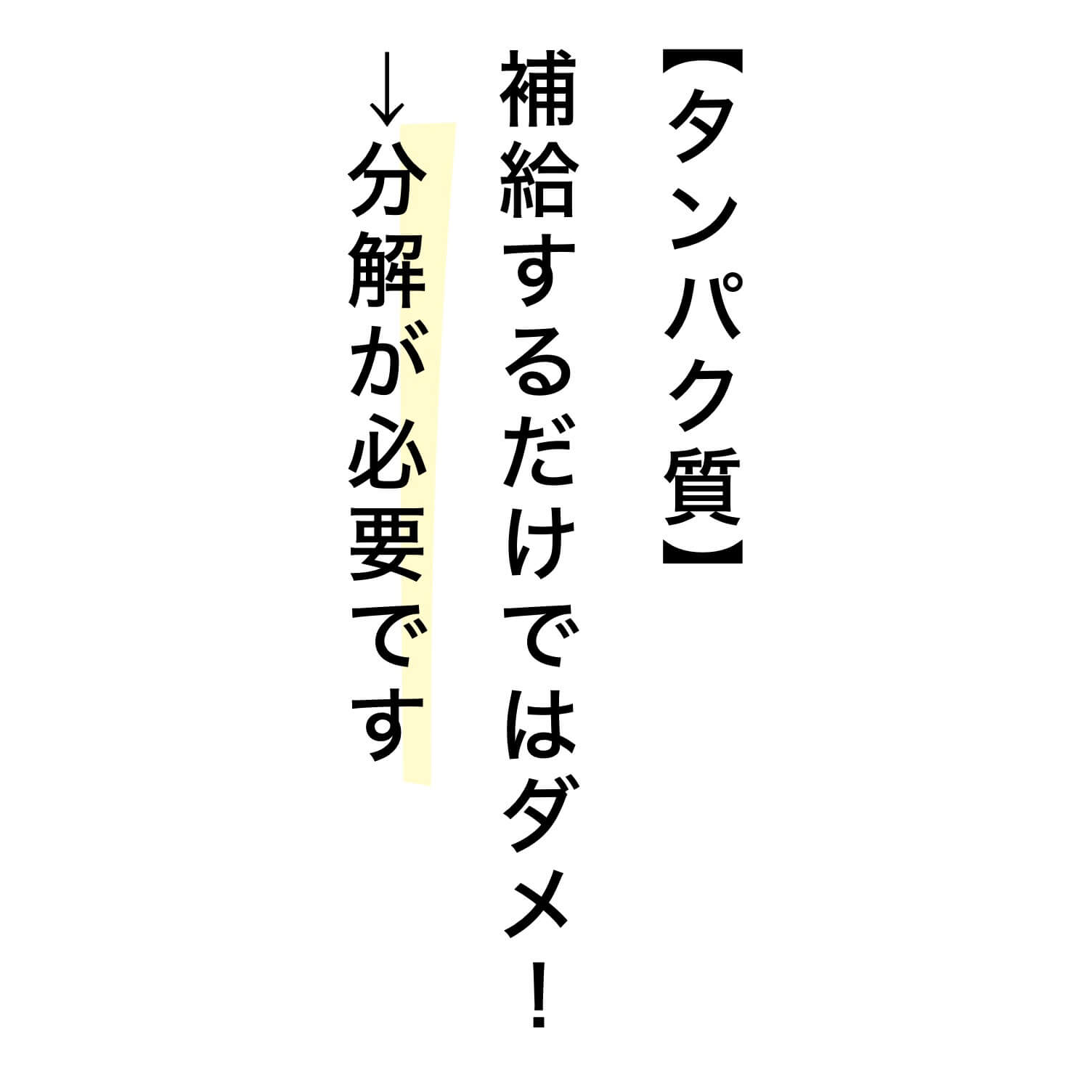 タンパク質は分解するのが大切