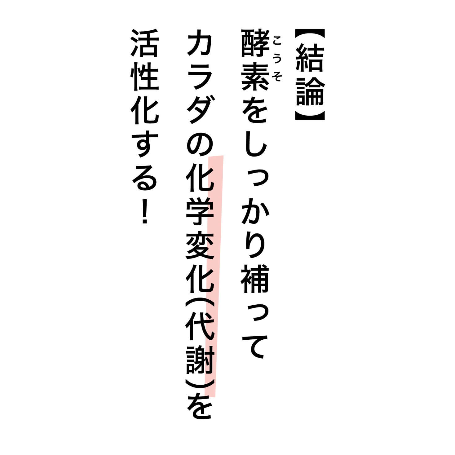 酵素でカラダの代謝を活性化