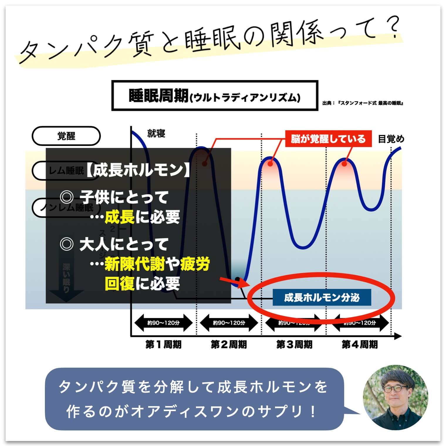オアディスワンのサプリはタンパク質を分解して成長ホルモンを作る