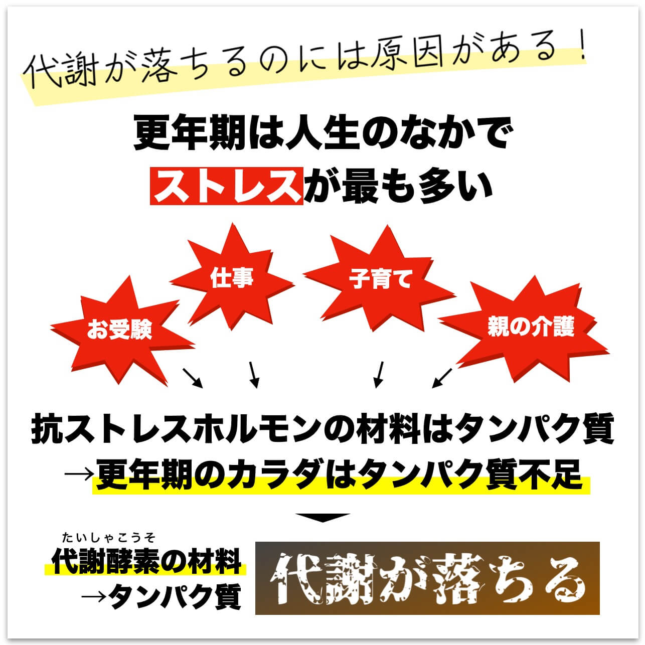 更年期に太る科学的なメカニズム