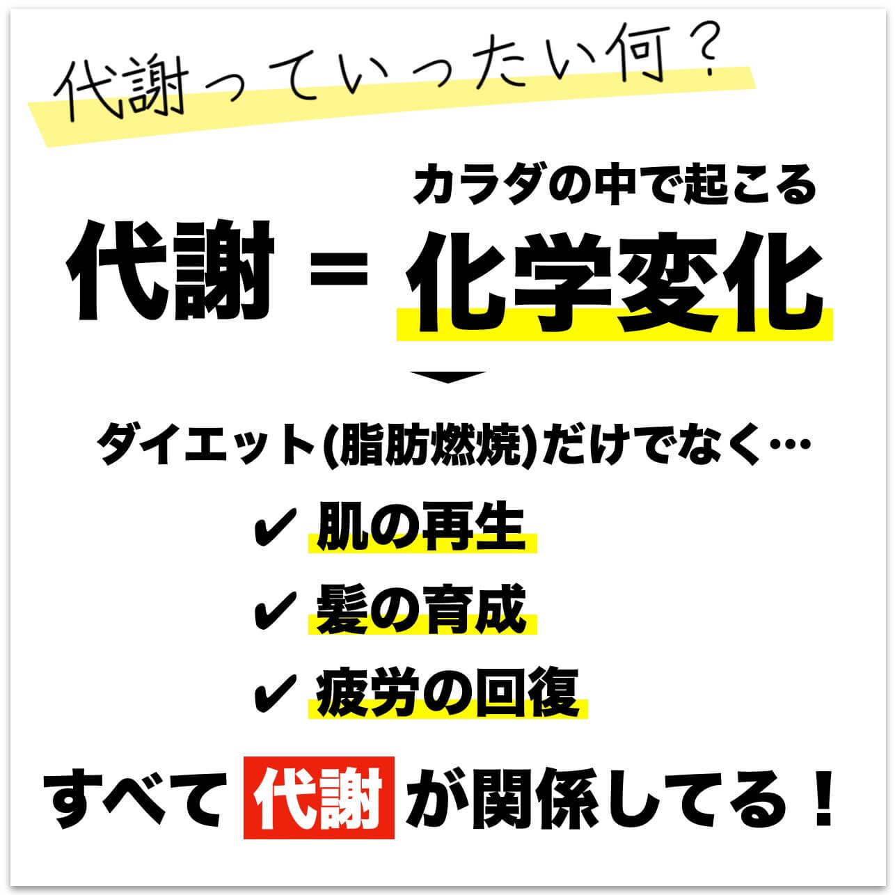 代謝とはカラダの中で起こる化学反応のこと