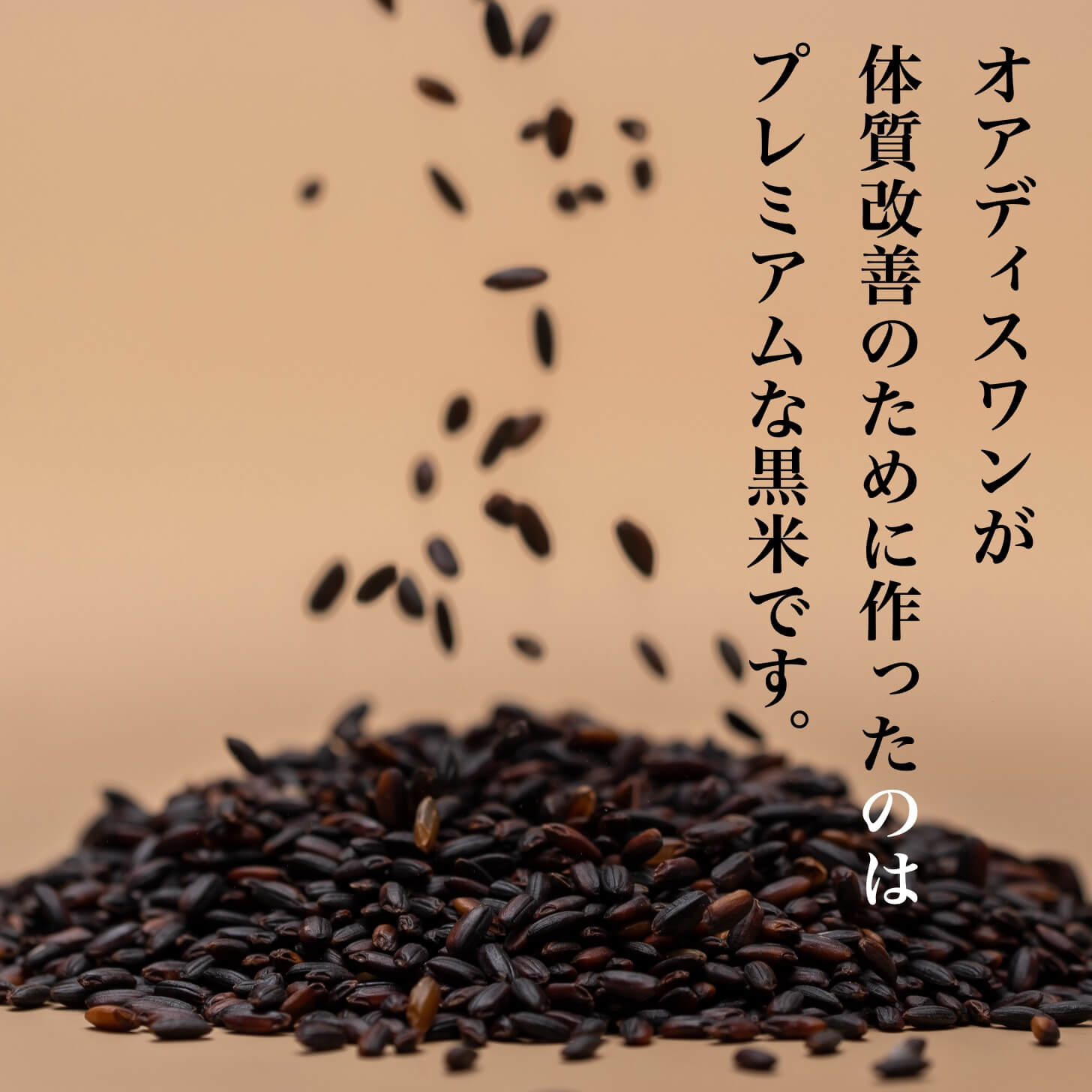 更年期のためにつくったポリフェノールがとれるお米