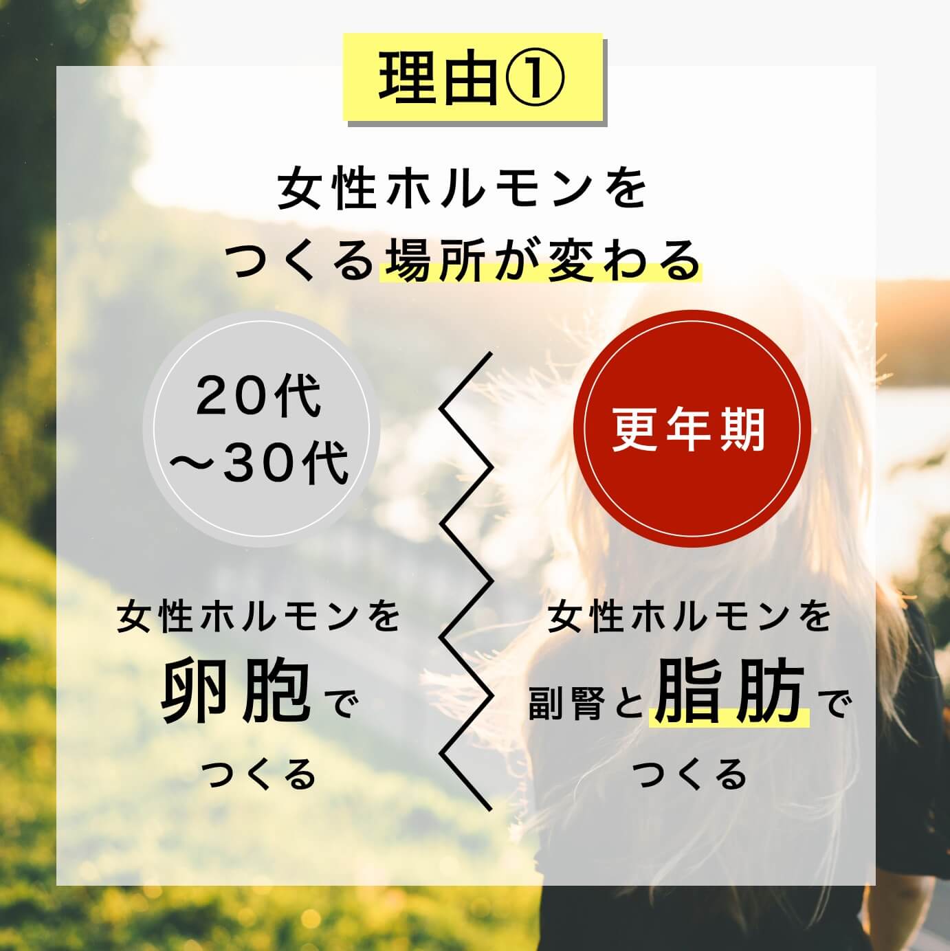 更年期は女性ホルモンを脂肪でつくる