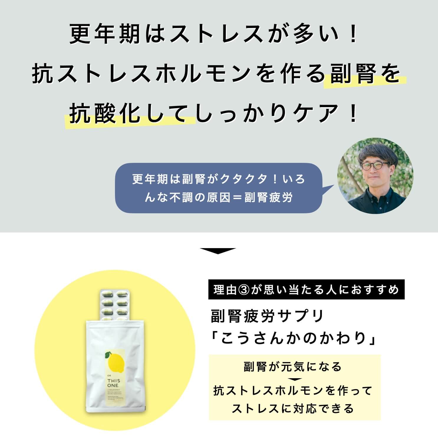 抗酸化サプリこうさんかのかわり