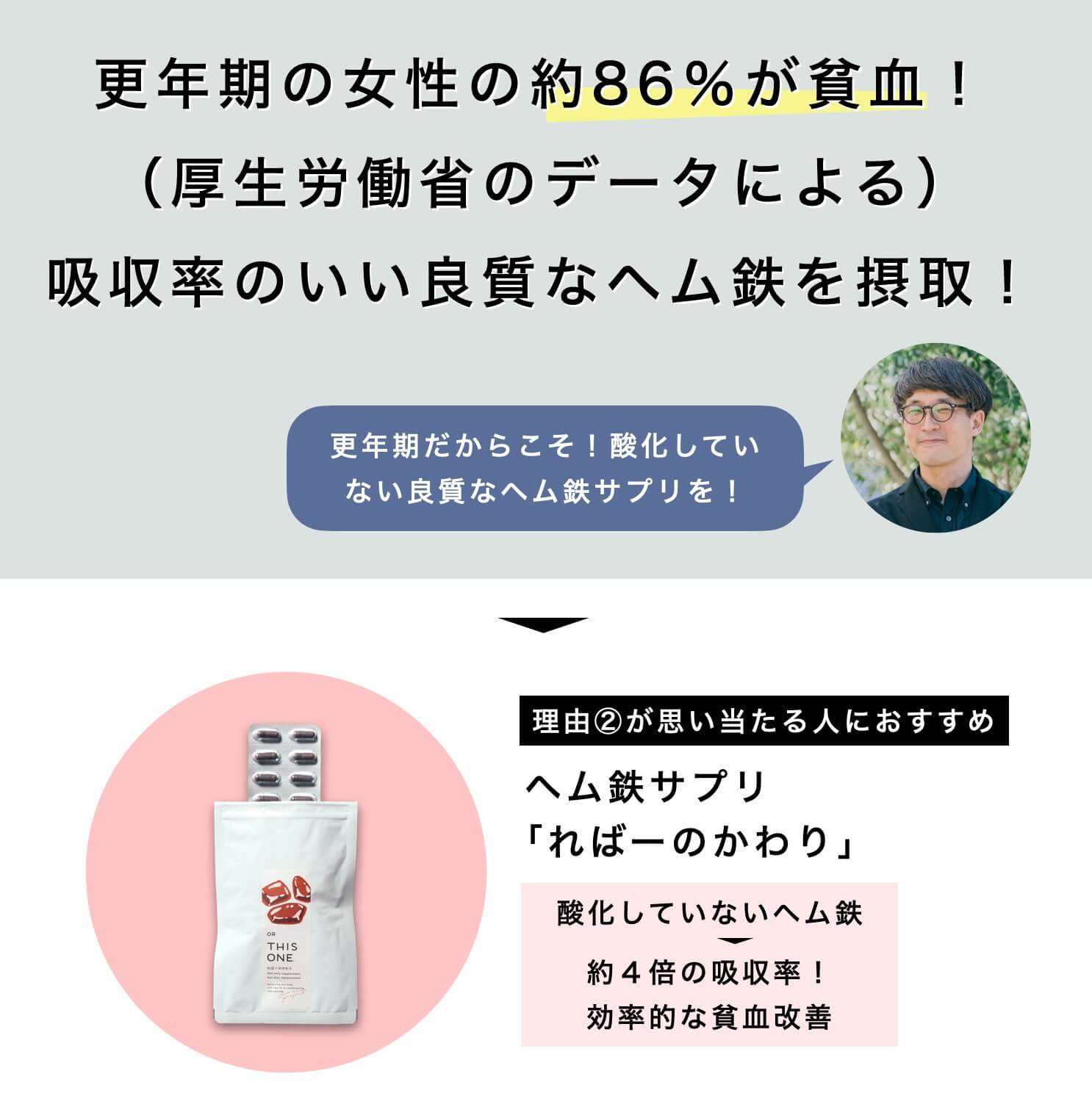 ヘム鉄サプリればーのかわり