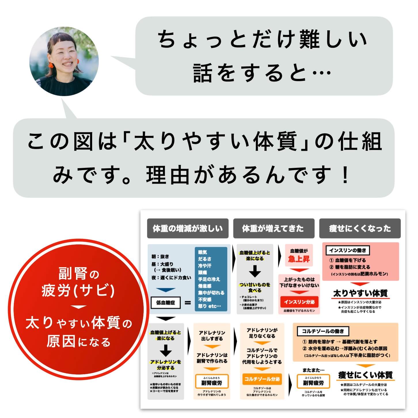 太りやすい体質の仕組み