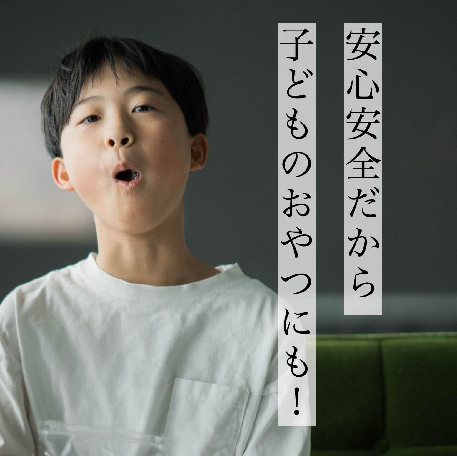 安心安全の子供のおやつ