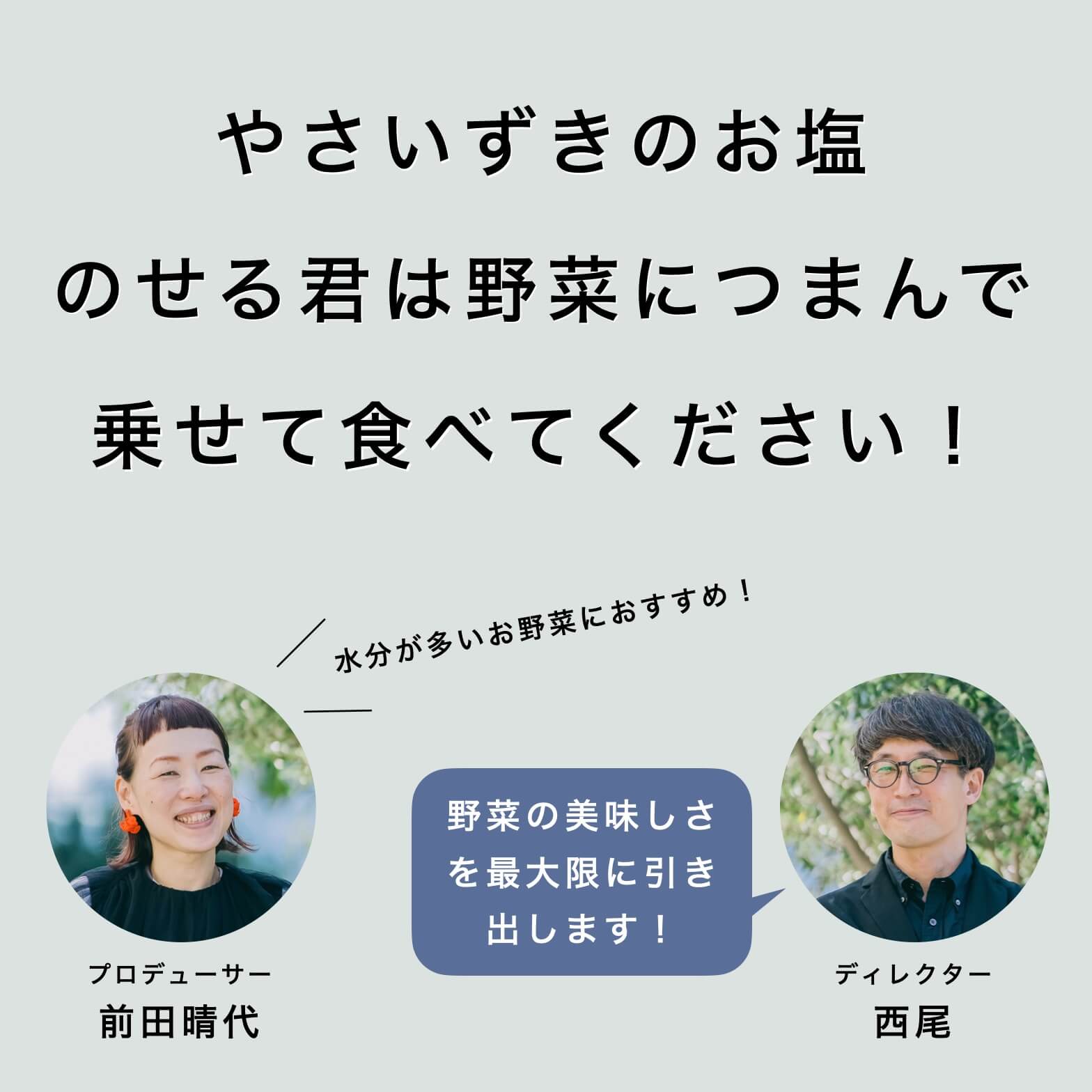 やさいずきのお塩のせる君は野菜に乗せて