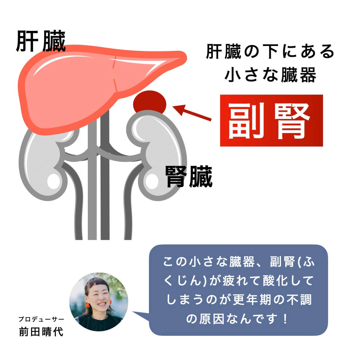 副腎を説明している画像