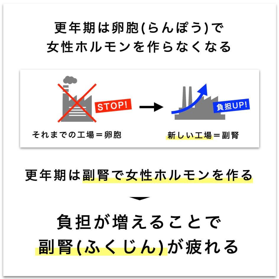 更年期は副腎で女性ホルモンを作るを説明した図