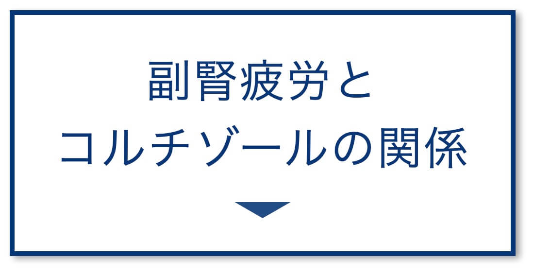 副腎疲労と
コルチゾールの関係