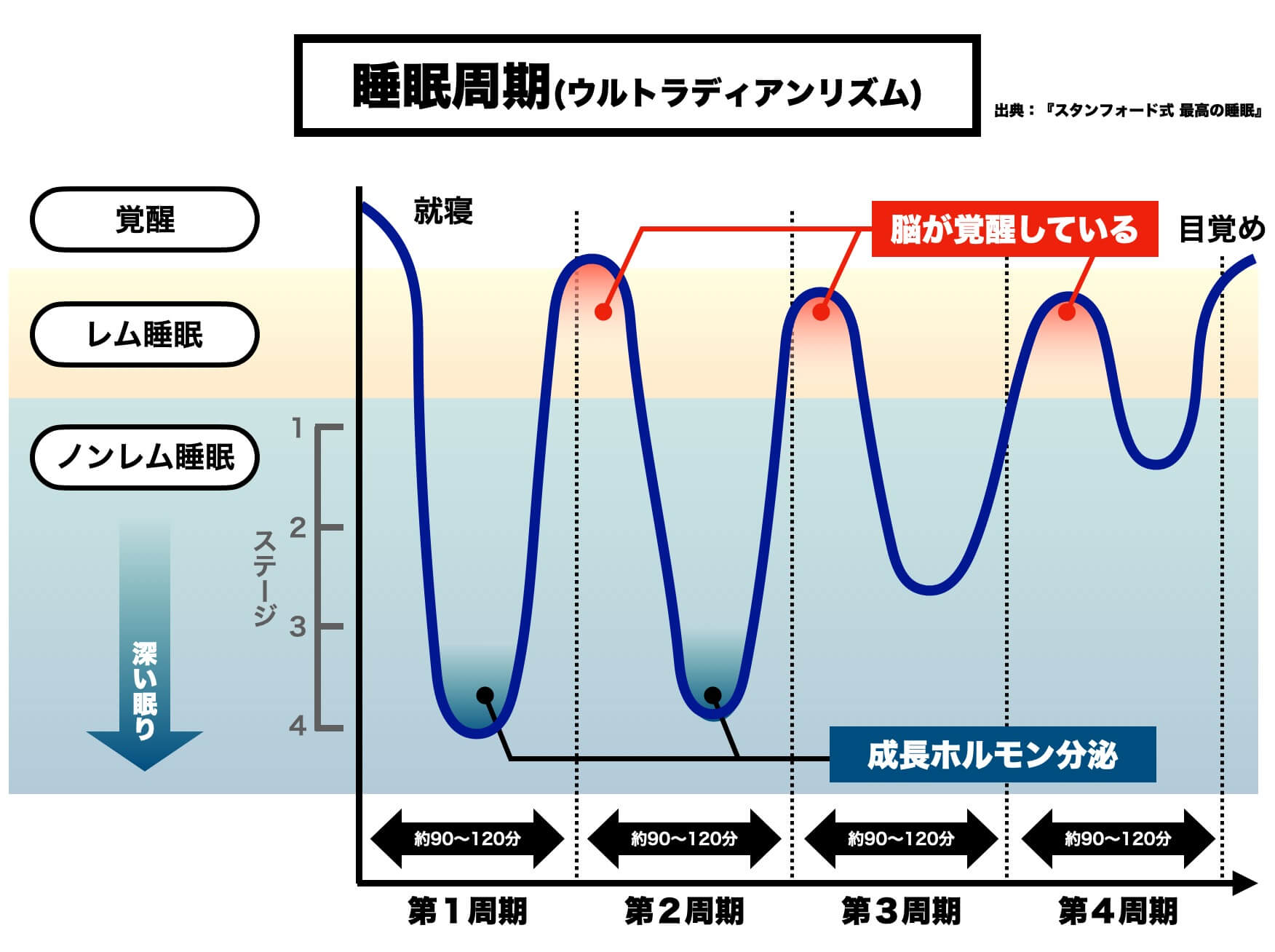 40代ダイエットには睡眠時の代謝を上げることが大切