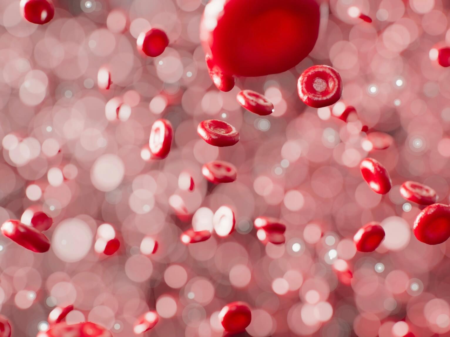 ヘモグロビンサプリを飲んで改善したい血液中のヘモグロビンのイメージ写真