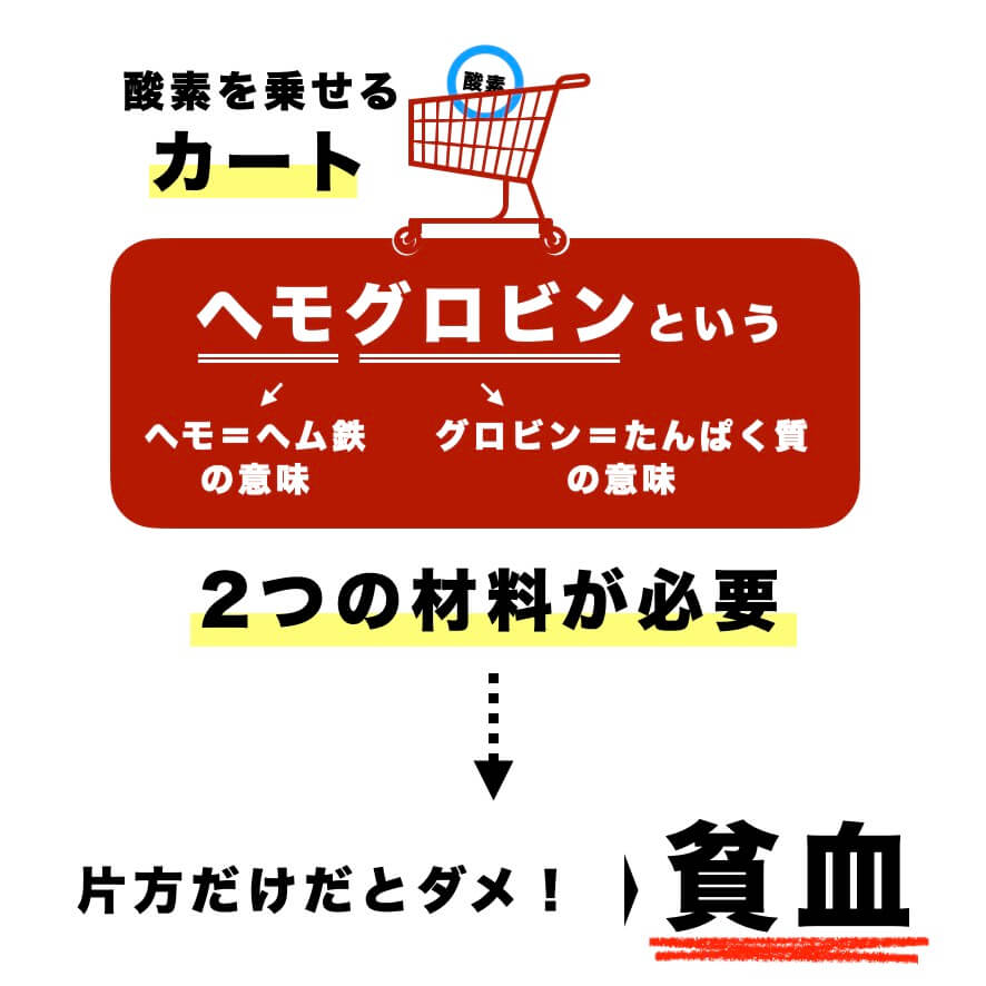 ヘモグロビンサプリの材料がヘム鉄とタンパク質であることを説明する図