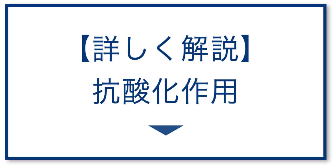 抗酸化作用を詳しく解説