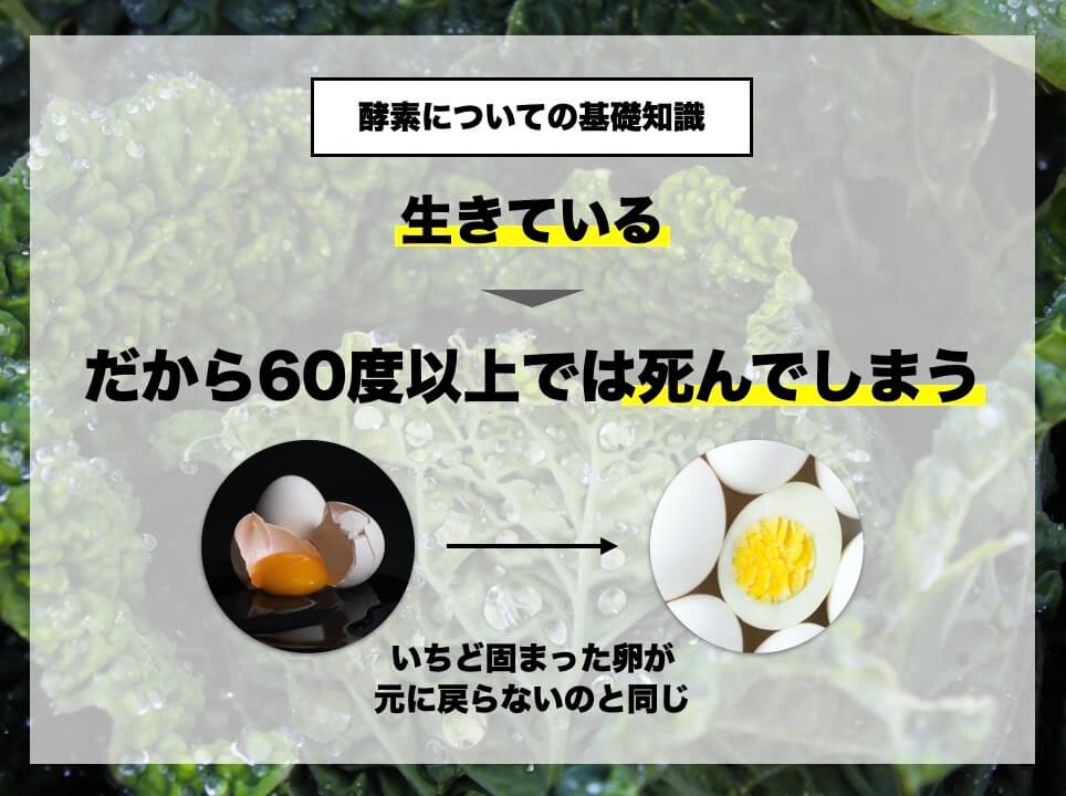 酵素についての基礎知識が説明されている図
