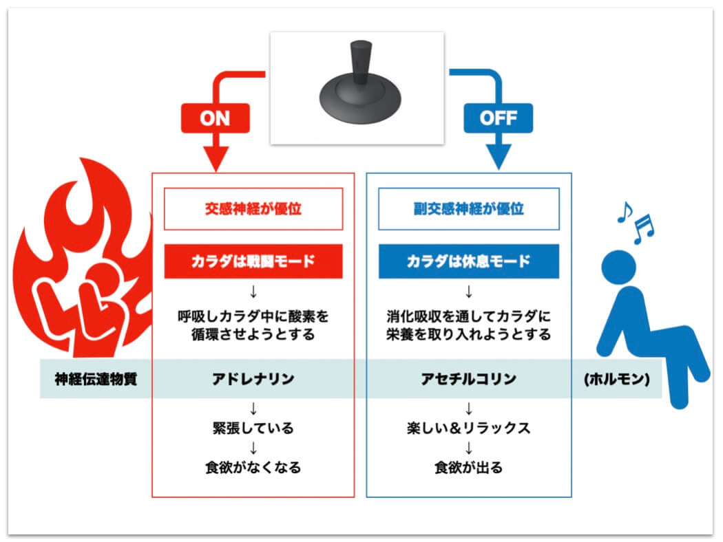 自律神経の説明をしている図