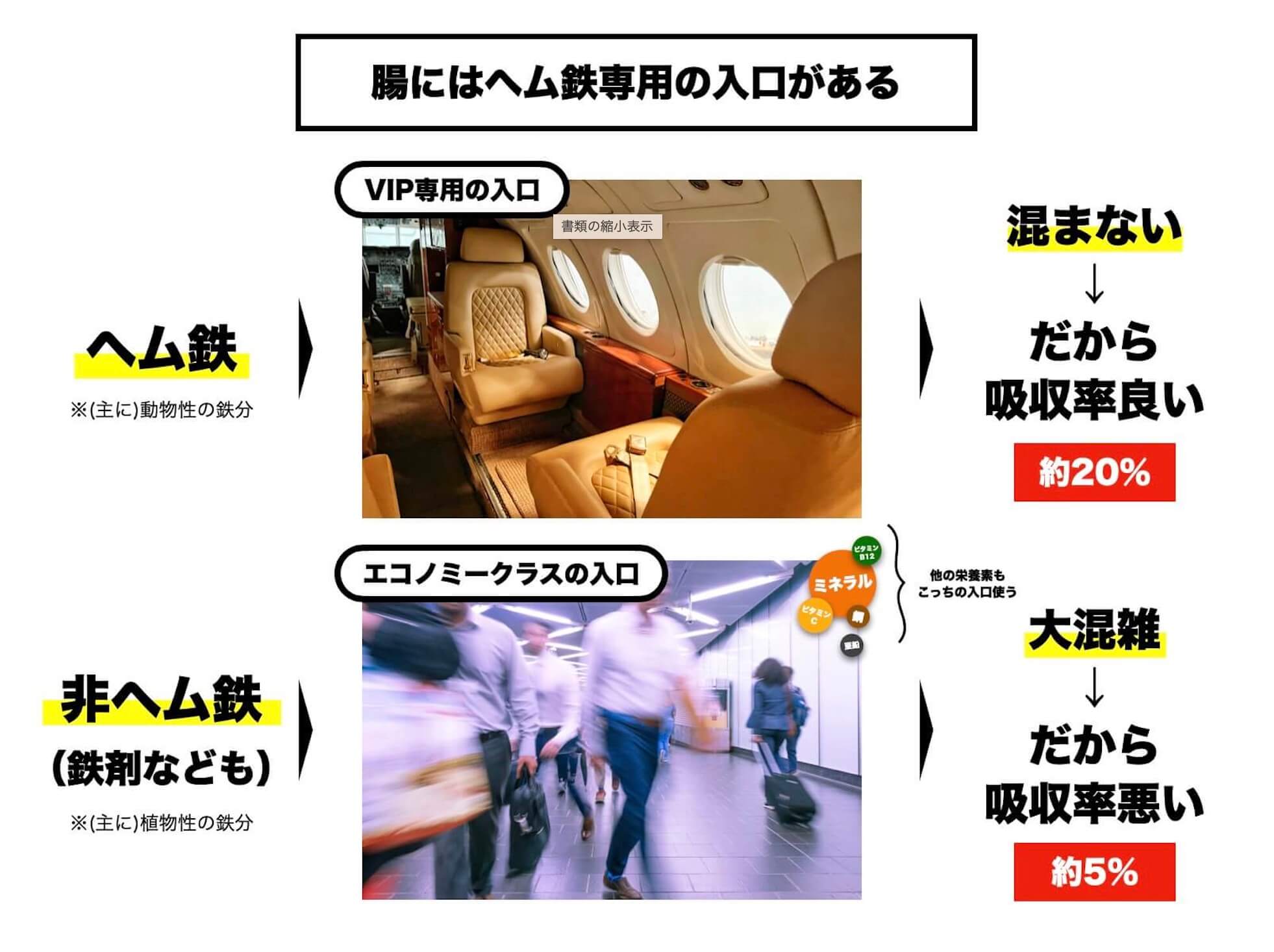 ヘム鉄がカラダに吸収される説明をしている図