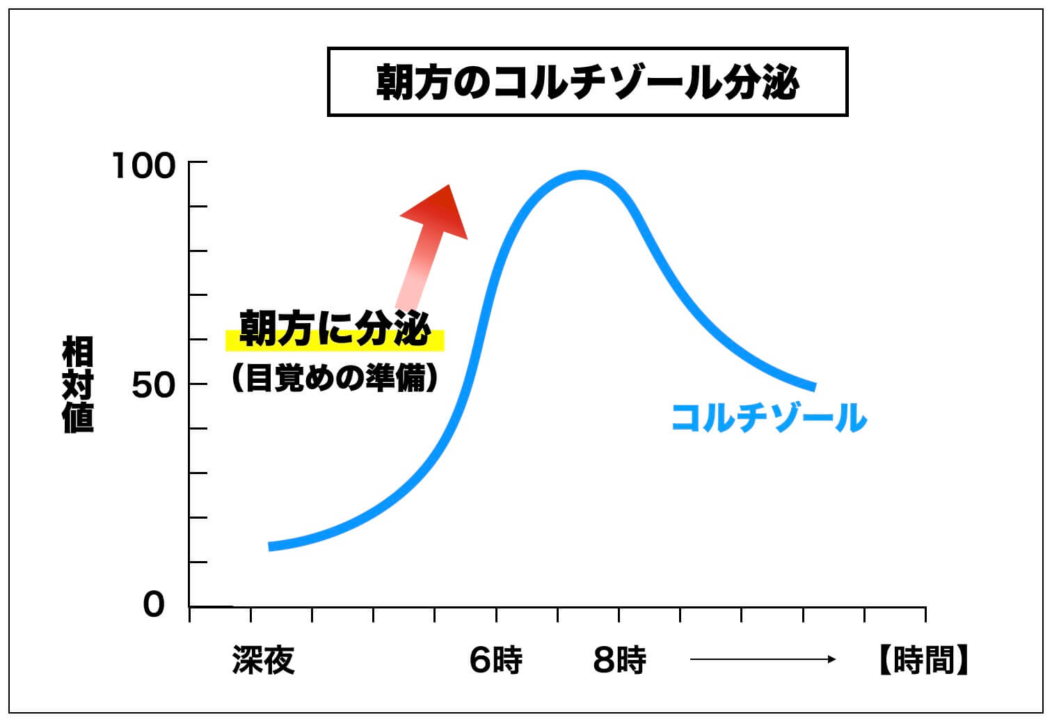 朝方にコルチゾールが分泌される説明をしている図