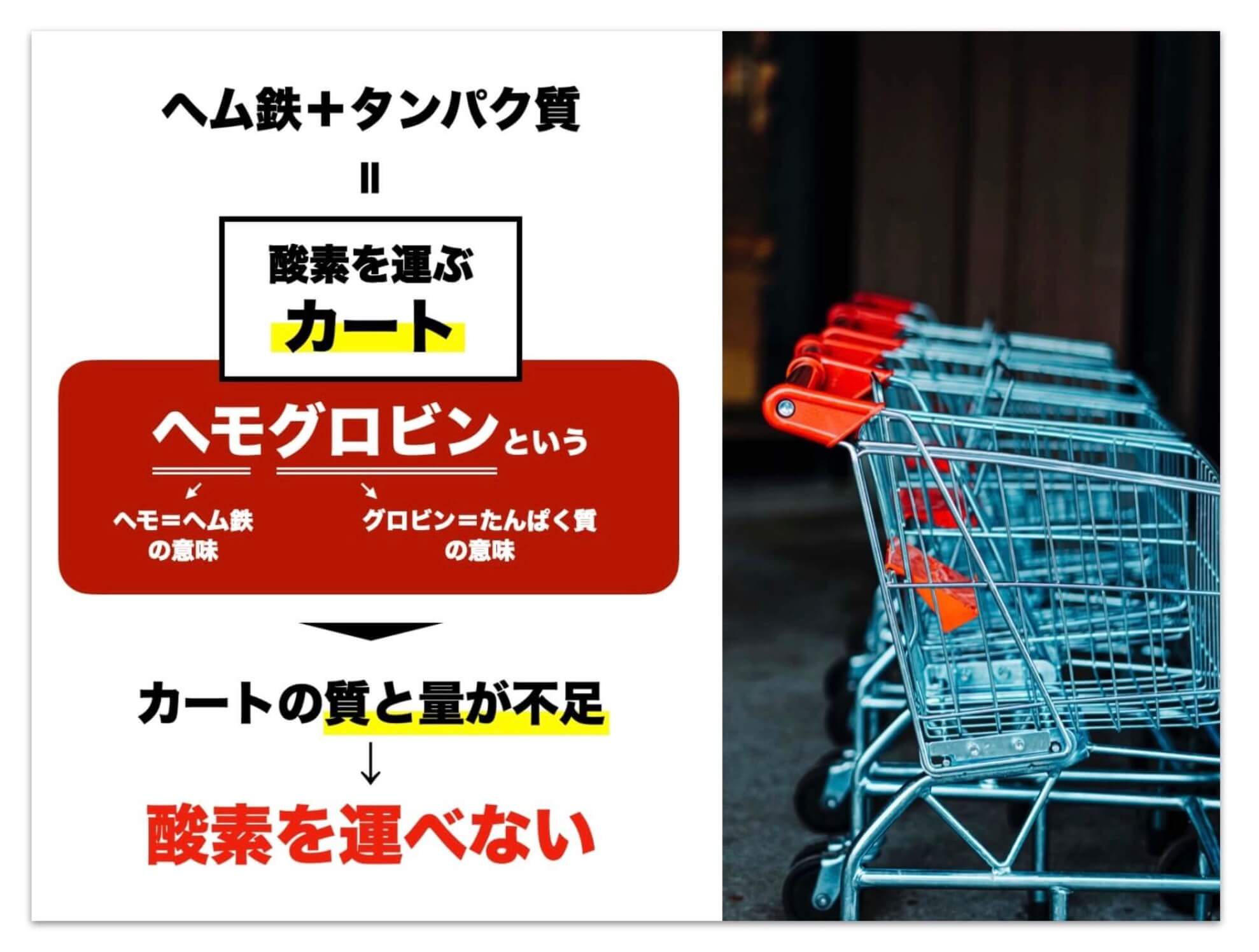 ヘム鉄を冷え性の関係を説明している図