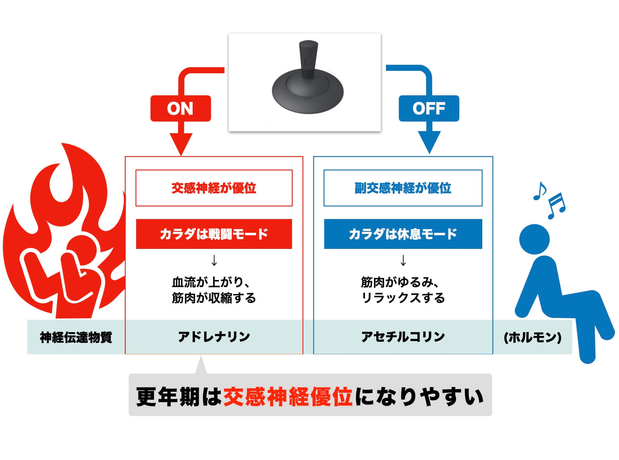 自律神経を説明している図