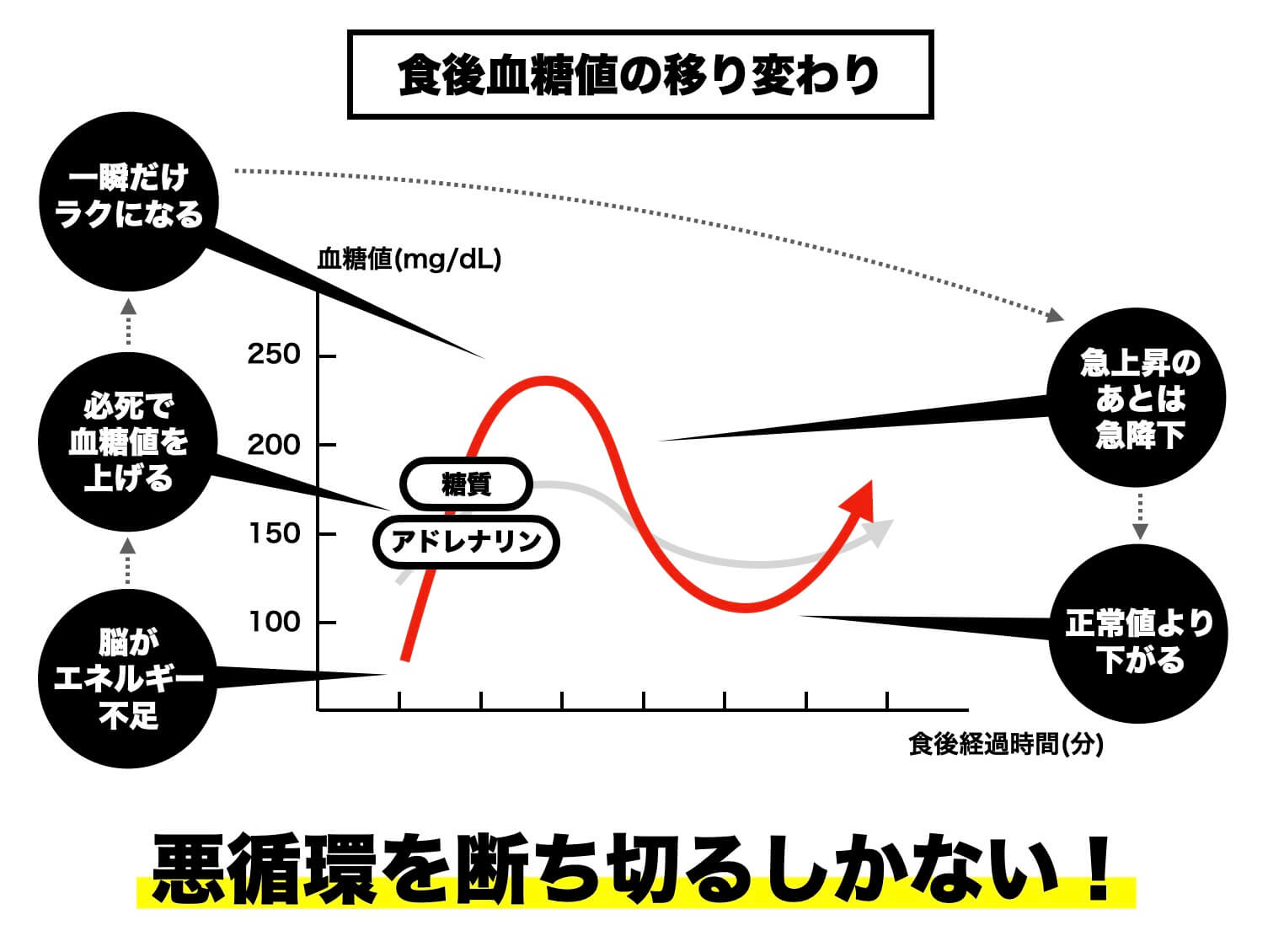 食後血糖値の移り変わりを説明した図