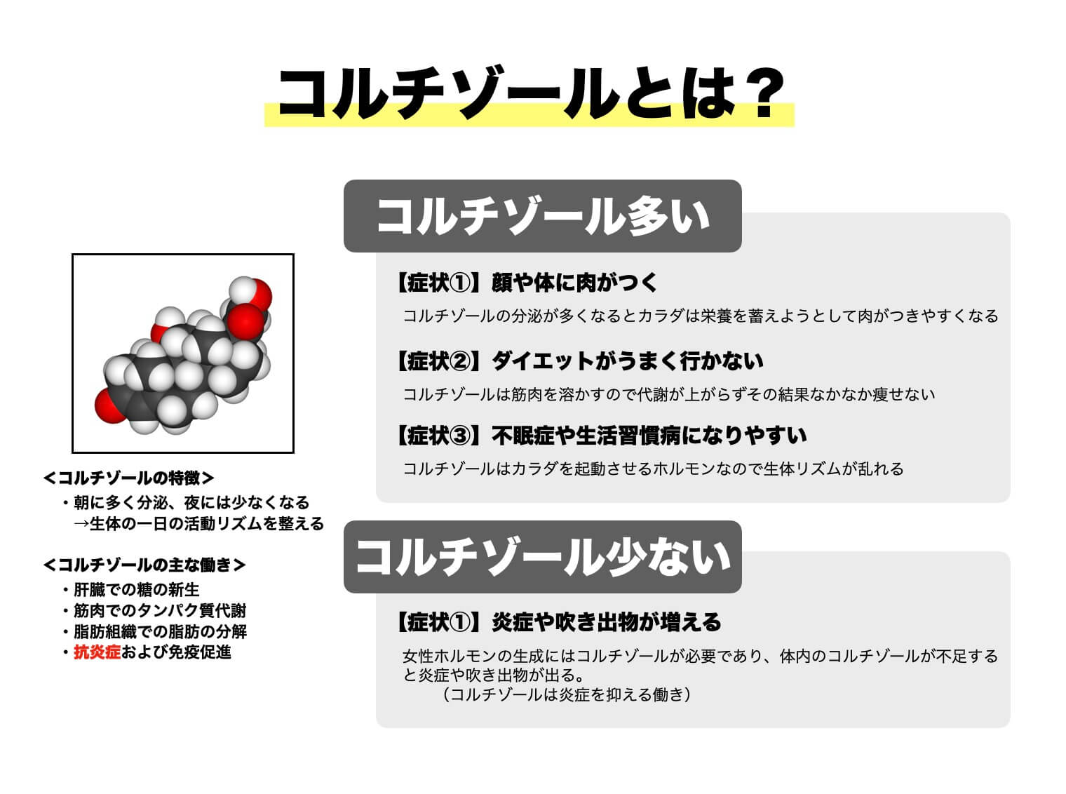 コルチゾールの説明の図