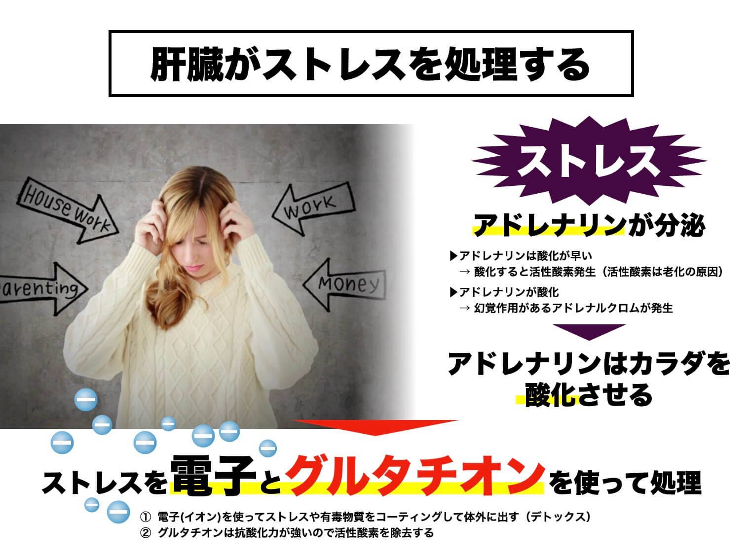 ストレスと肝臓の関係を説明した図