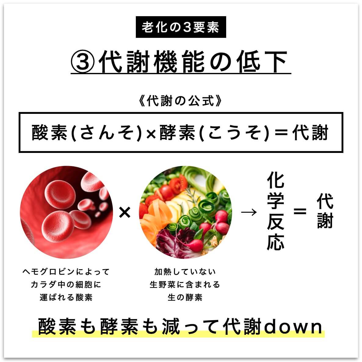 代謝機能の衰えを説明した図