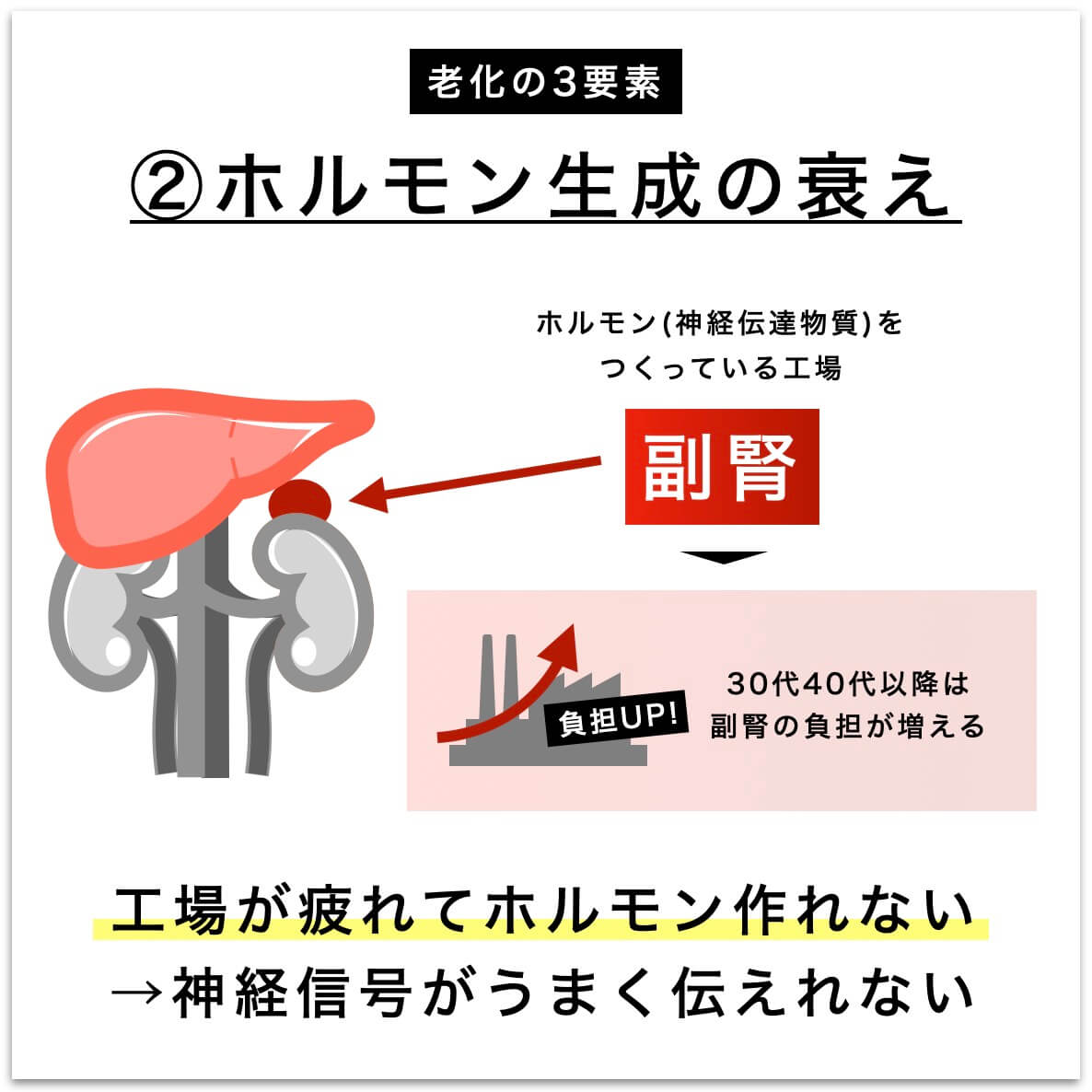 ホルモン生成の衰えを説明した図