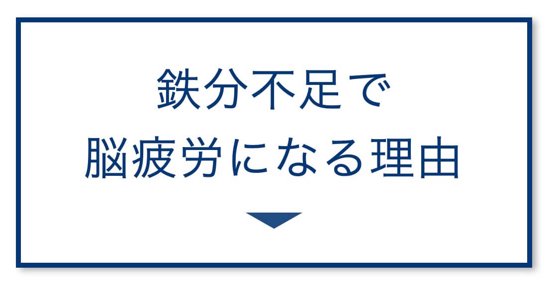 鉄分不足で
脳疲労になる理由