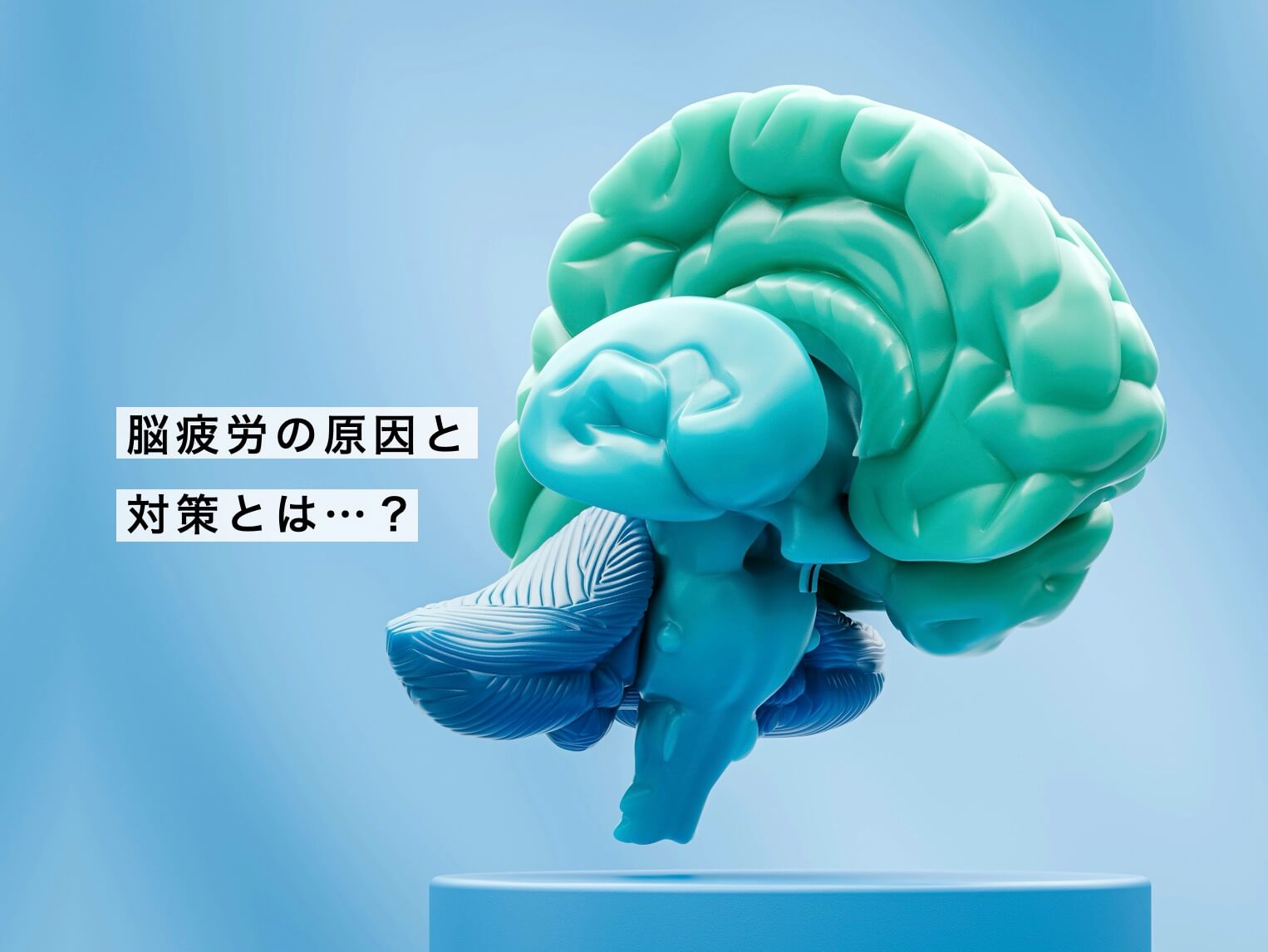 脳疲労対策サプリについて