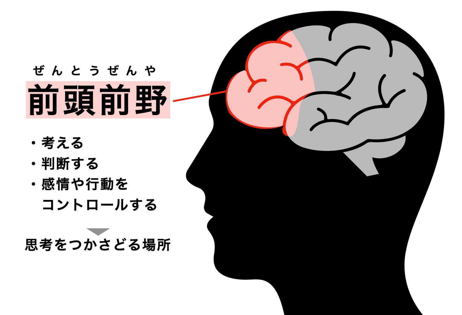 脳がリラックスできず更年期になりやすい様子