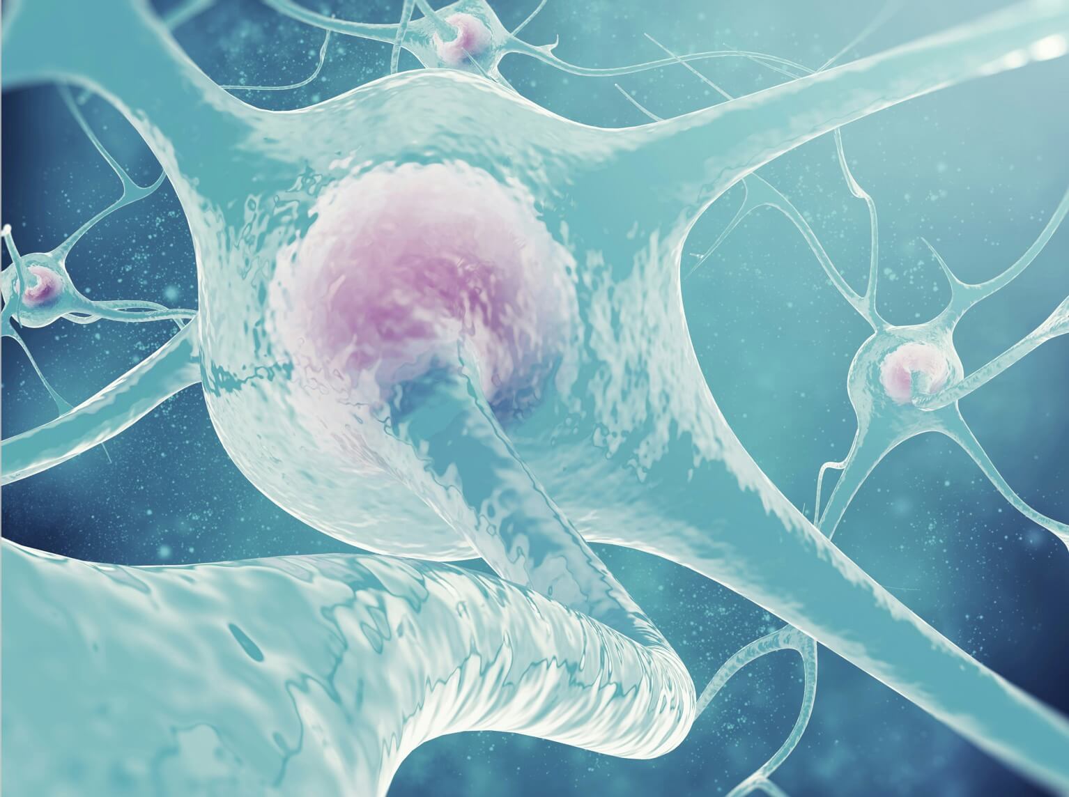 脳内ホルモンは体の中にある材料から合成