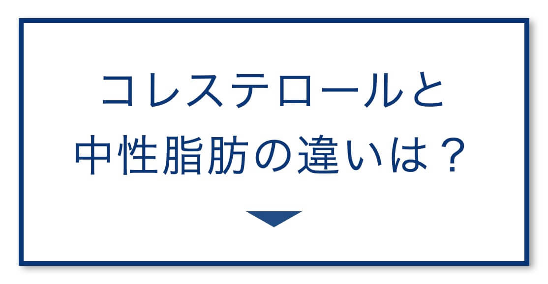 コレステロールと
中性脂肪の違いは?
