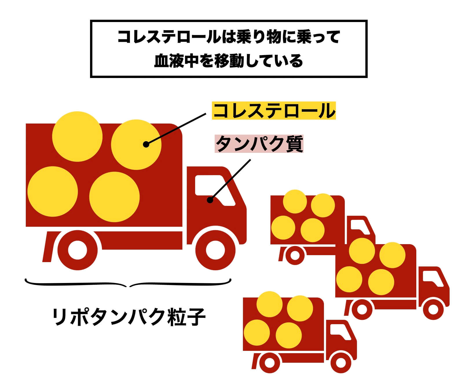 体内でのコレステロールの働きを説明している図