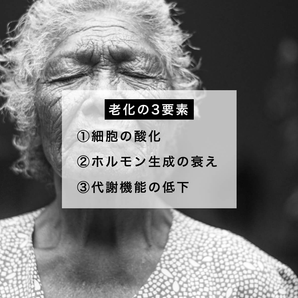老化の3大要因を示した図