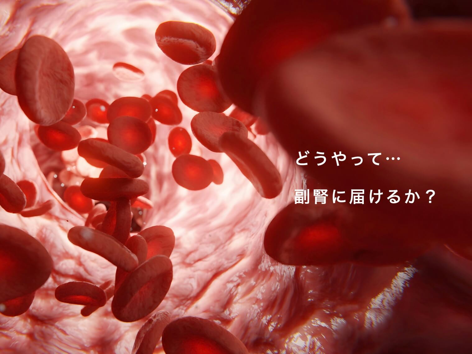 抗酸化成分をどう副腎に届けるかが大事な図