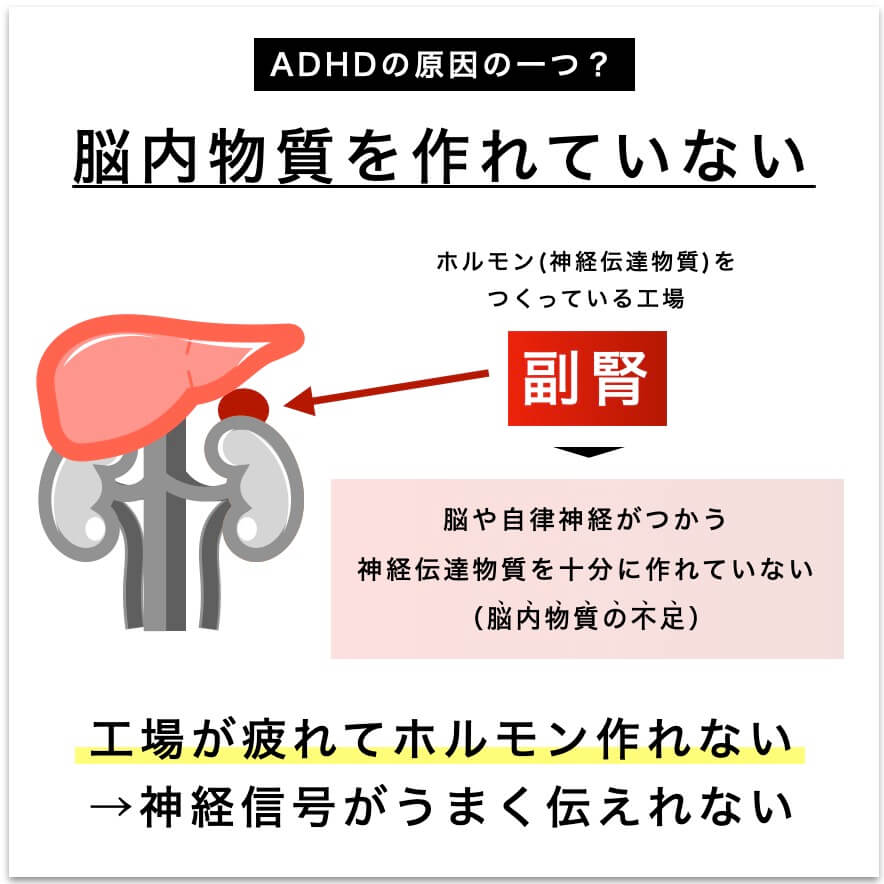 副腎疲労で脳に物質をつくれていない