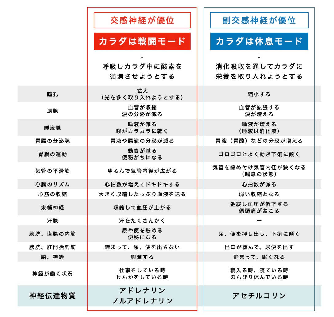 交感神経優位と副交感神経優位のバランス比較の図