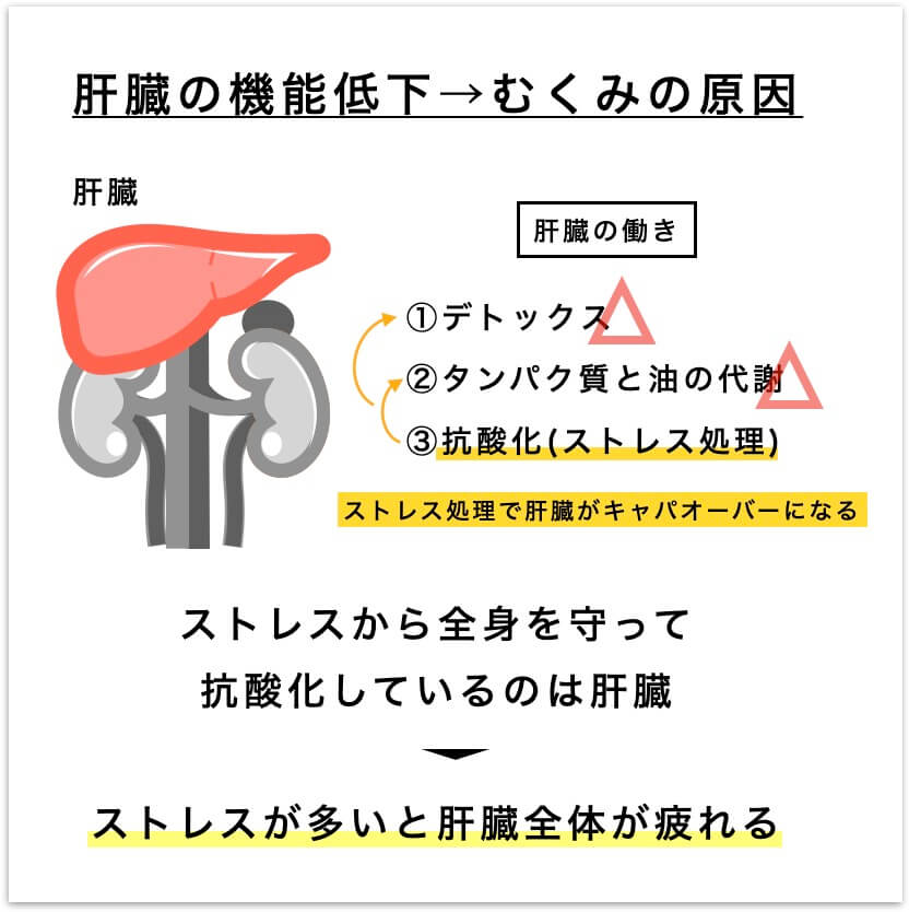 ストレスが多く肝臓が疲れる仕組みの図